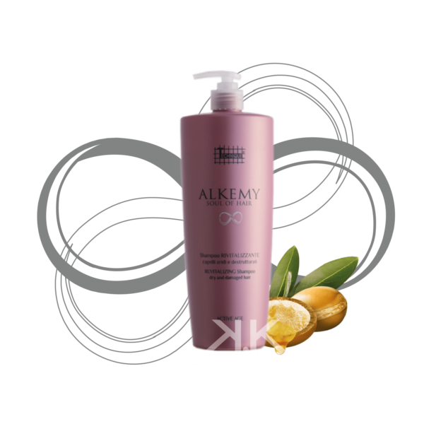 Technique Alkemy Re-Active revitalizzante Shampoo 1000ml